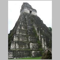 Tikal, photo einalem, flickr,4.jpg